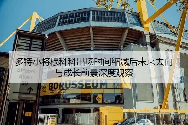 多特小将穆科科出场时间缩减后未来去向与成长前景深度观察