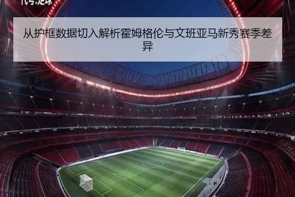 从护框数据切入解析霍姆格伦与文班亚马新秀赛季差异