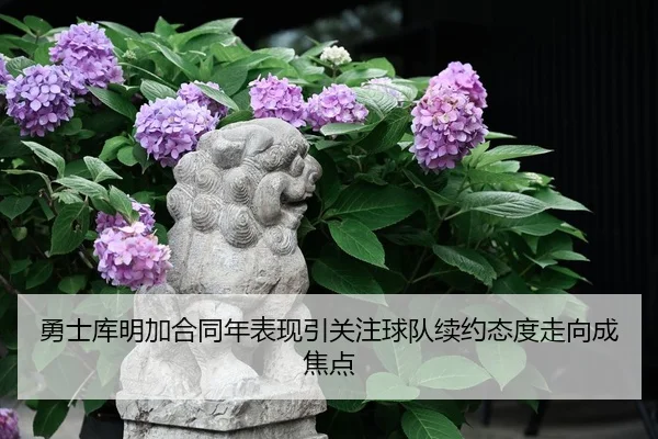 勇士库明加合同年表现引关注球队续约态度走向成焦点